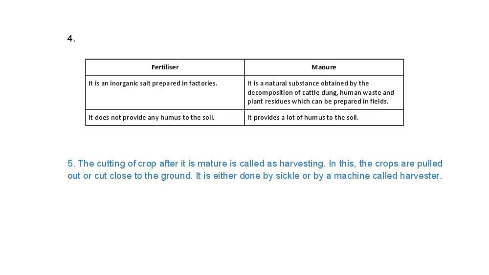 Teaching Material for Class 8 Biology – NCERT CBSE Handbook for Teachers