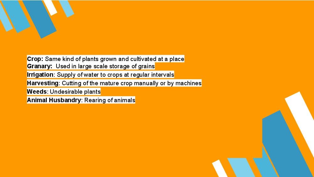Teaching Material for Class 8 Biology – NCERT CBSE Handbook for Teachers