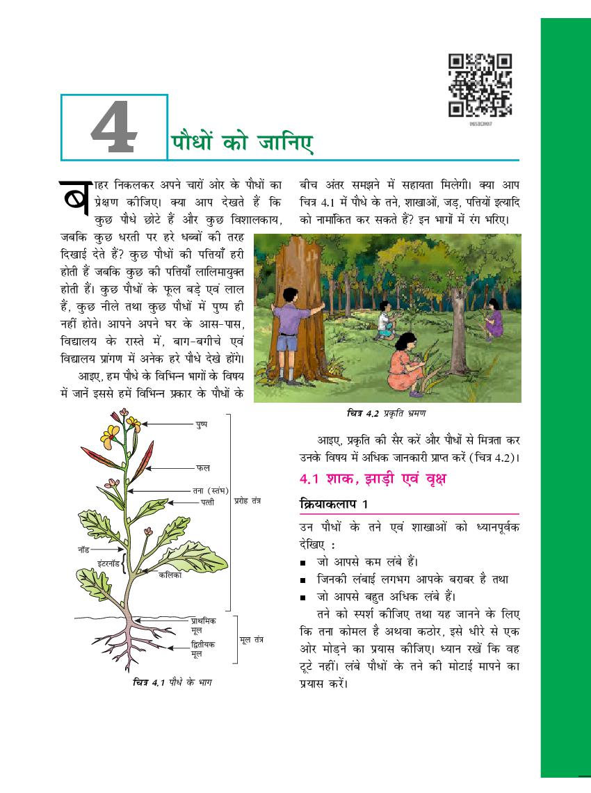 NCERT Book Class 6 Science (विज्ञान) Chapter 4 पौधों को जानिए - Page 1