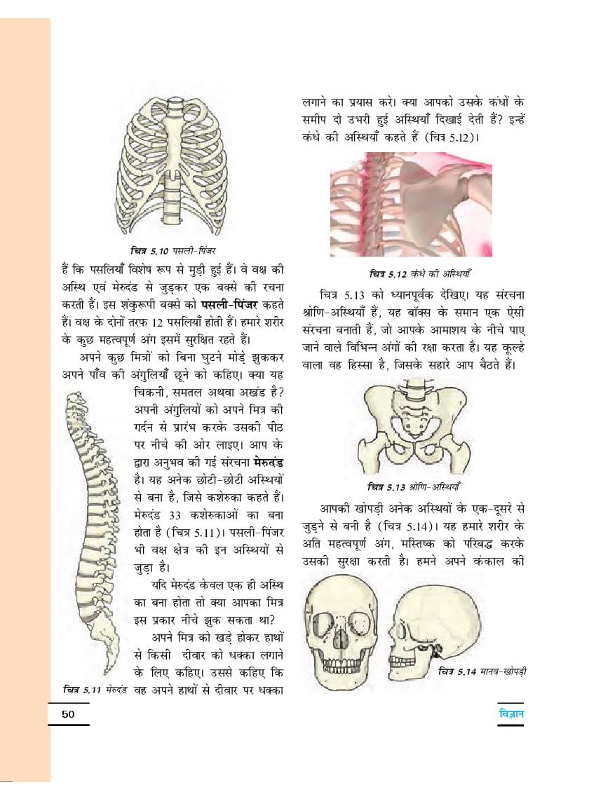 NCERT Book Class 6 Science Chapter 5 Separation Of Substances (पदार्थों ...