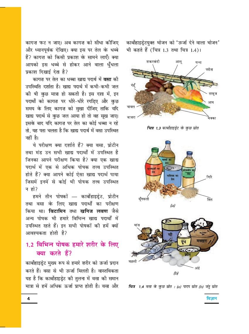 NCERT Book Class 6 Science Chapter 1 Food: Where Does It Come From ...