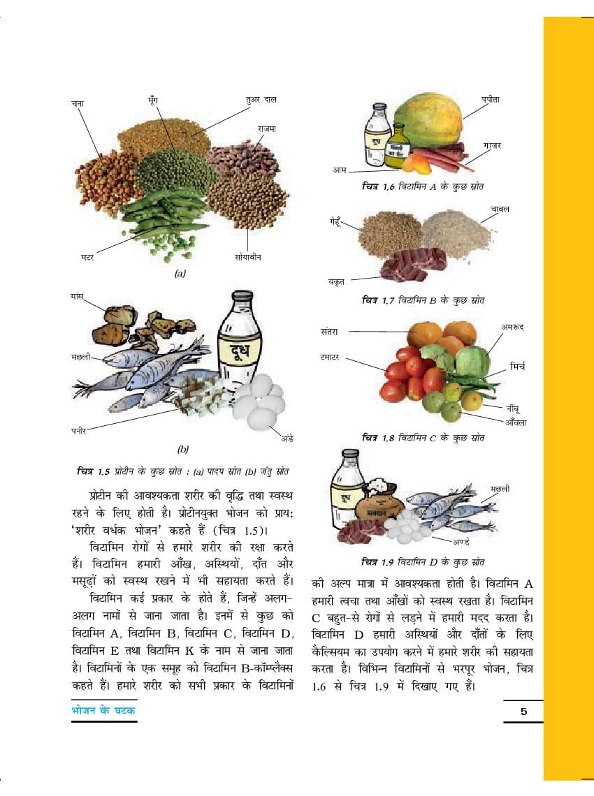 NCERT Book Class 6 Science Chapter 1 Food: Where Does It Come From ...