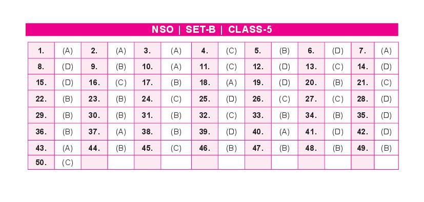 Nso Answer Key 2023 Set A Class 9