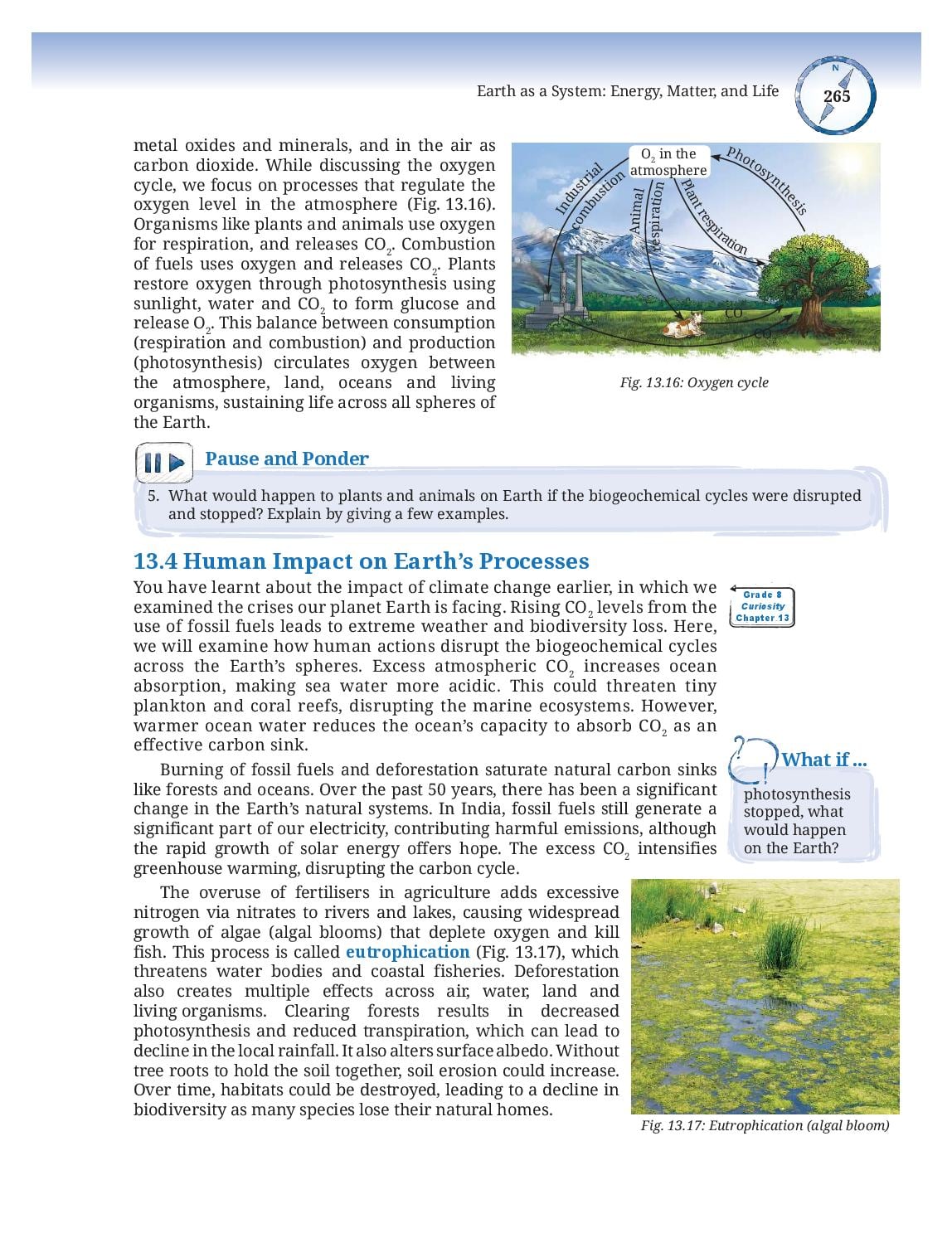 NCERT Class 9 Science Chapter 13 PDF – Earth as a System: Energy, Matter, and Life (2026-27)