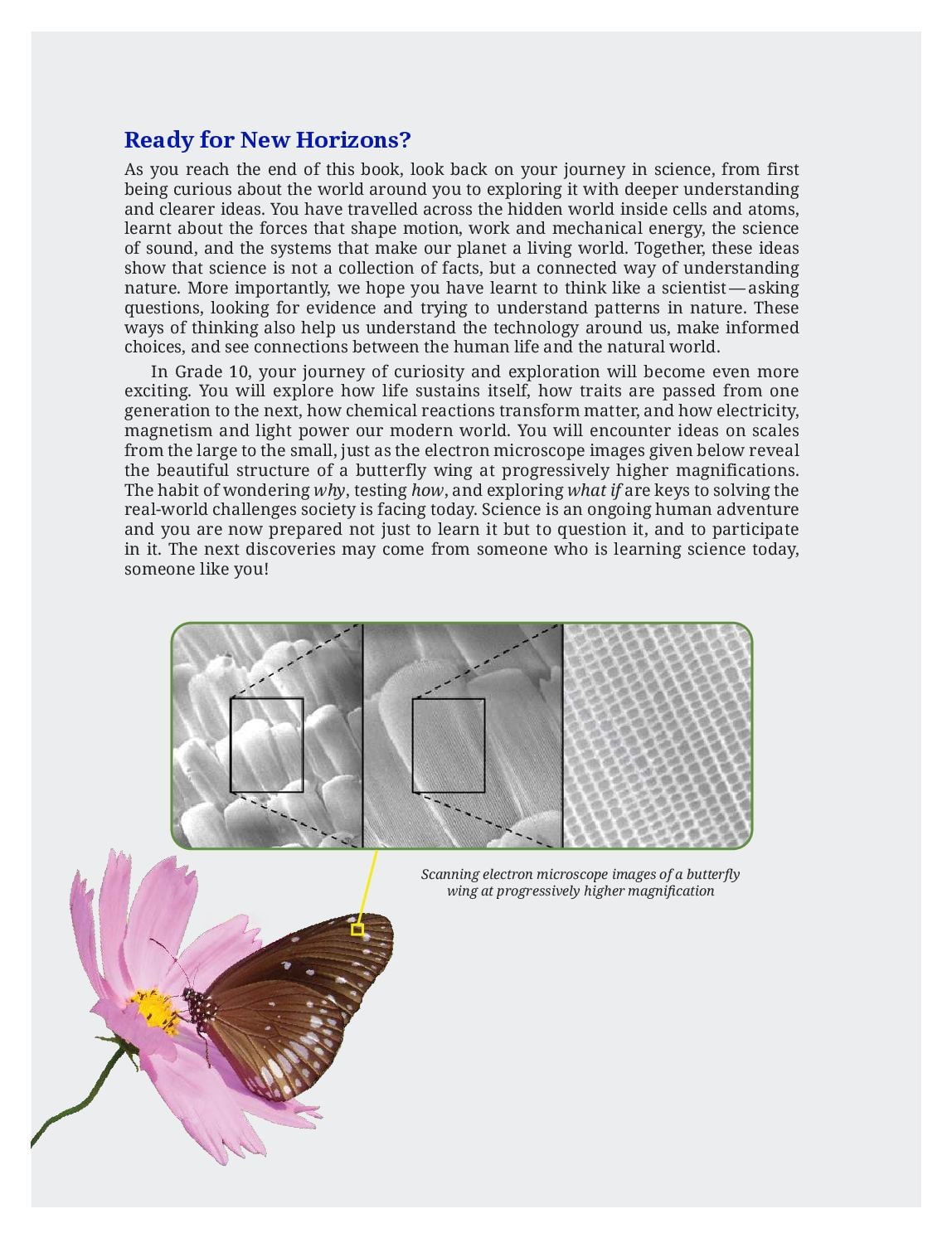 NCERT Class 9 Science Chapter 13 PDF – Earth as a System: Energy, Matter, and Life (2026-27)
