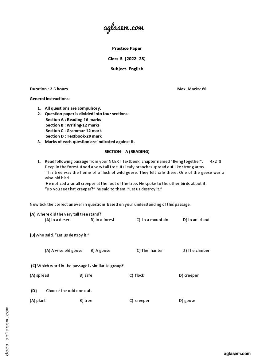 admission test paper for class 5 cbse