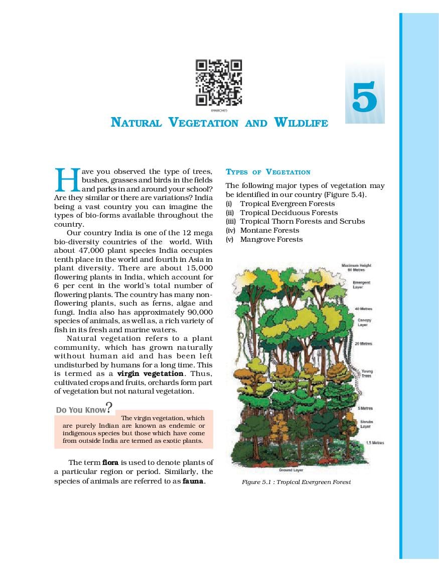 NCERT Book Class 9 Social Science (Geography) Chapter 5 Natural Vegetation and Wildlife - Page 1