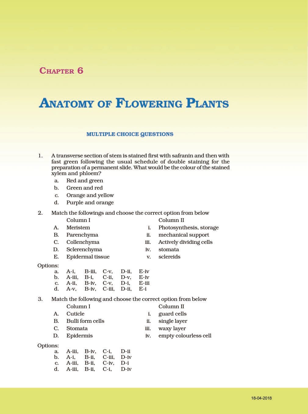 NCERT Exemplar Class 11 Biology Chapter 6 Anatomy of flowering plants - Page 1
