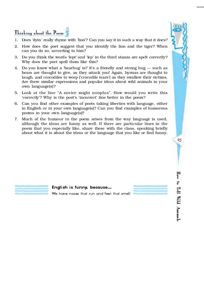 NCERT Book Class 10 English First Flight Chapter 3 Two Stories about Flying