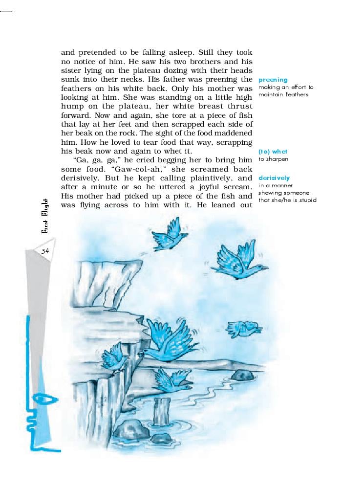 NCERT Book Class 10 English First Flight Chapter 3 Two Stories about Flying