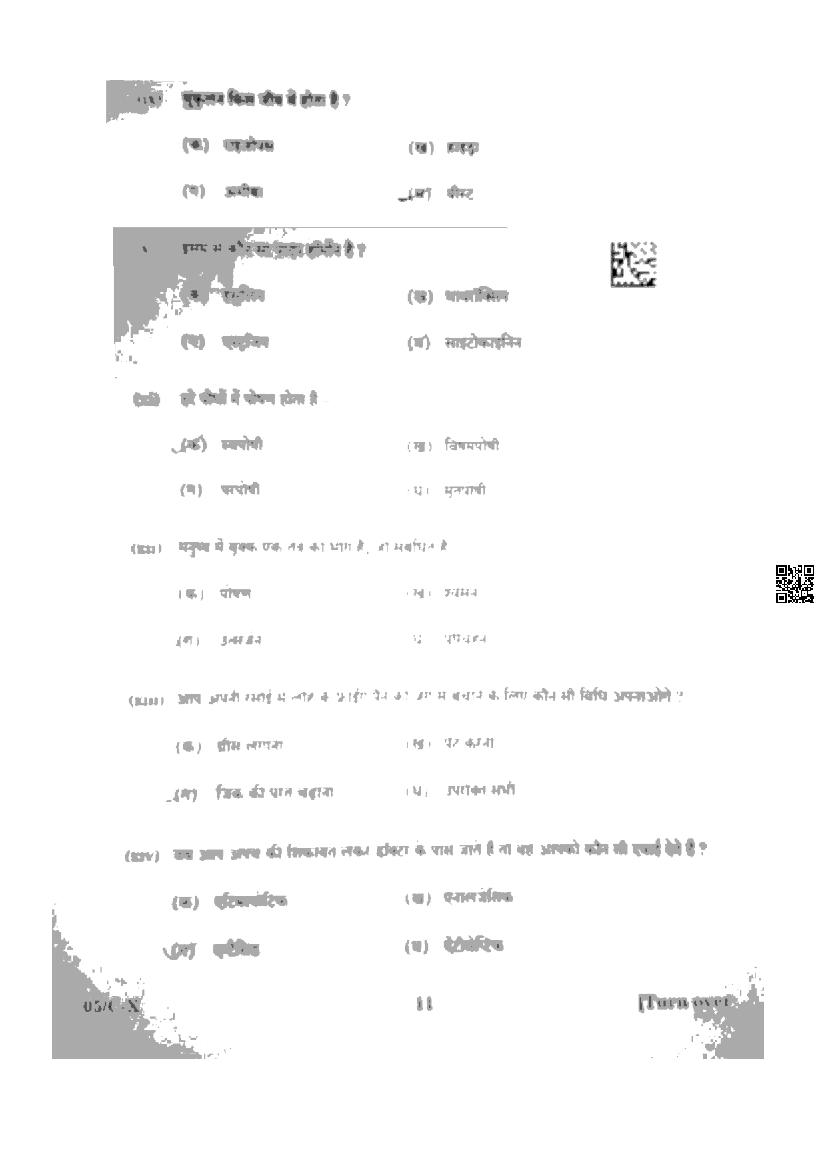 Ordinal Numbers in English – Rules, List, Usage & Examples visual data 5
