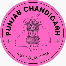 Punjab Exams logo