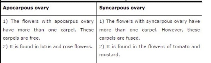 NCERT Solutions For Class 11 Biology Morphology Of Flowering Exercise Q6