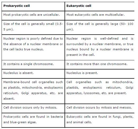 NCERT Solutions for Class 9 Science Chapter 5 The Fundamental Unit Of ...