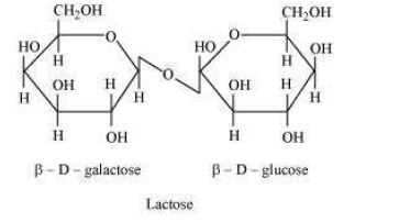 Ncert Solutions For Class 12 Chemistry Chemistry I Biomolecules Intext Questions Q14 2