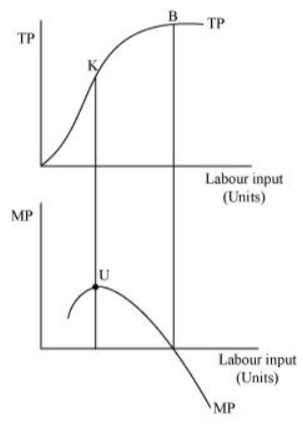 NCERT Solutions for Class 12 Economics I Chapter 3 Production and Costs