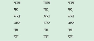 NCERT Solutions for Class 6 Sanskrit Chapter 12