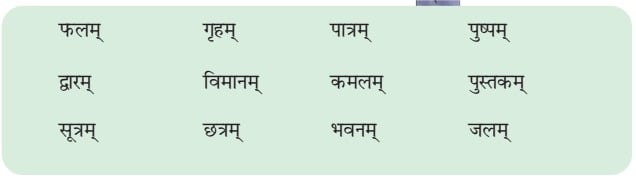 NCERT Solutions for Class 6 Sanskrit Chapter 3