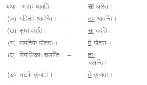 NCERT Solution for Class 6 Sanskrit Chapter 2