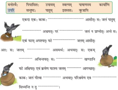 NCERT Solutions for Class 6 Sanskrit Chapter 7