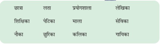 NCERT Solution for Class 6 Sanskrit Chapter 2