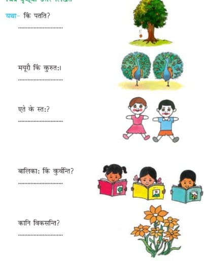 NCERT Solutions for Class 6 Sanskrit Chapter 3